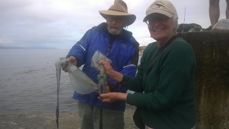 Squid from Tasmania