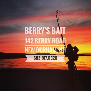 berrysbait