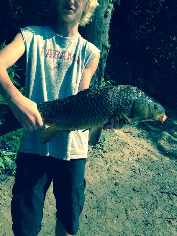 Merrimac river carp