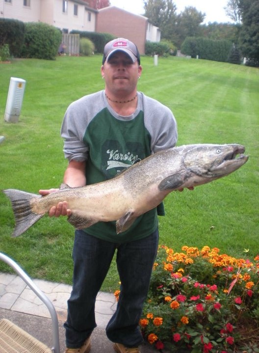 Chinook Salmon