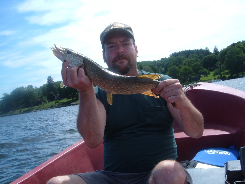 Bantam pike