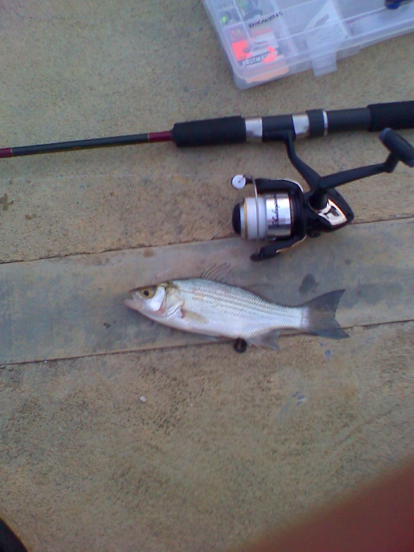 3/16/08 - Lake Murray - Ardmore, OK near Madill