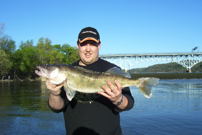 Nice Walleye