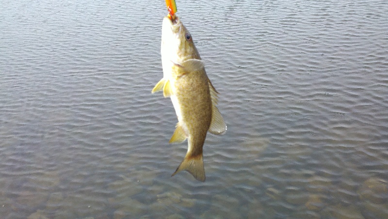 Lower Bolton Lake